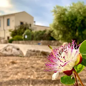 3* Affittacamere Pantanelli Di Vendicari